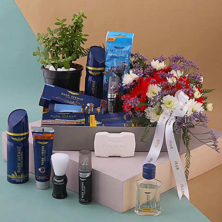Park Avenue Grooming Kit N Jade Plant Hamper
