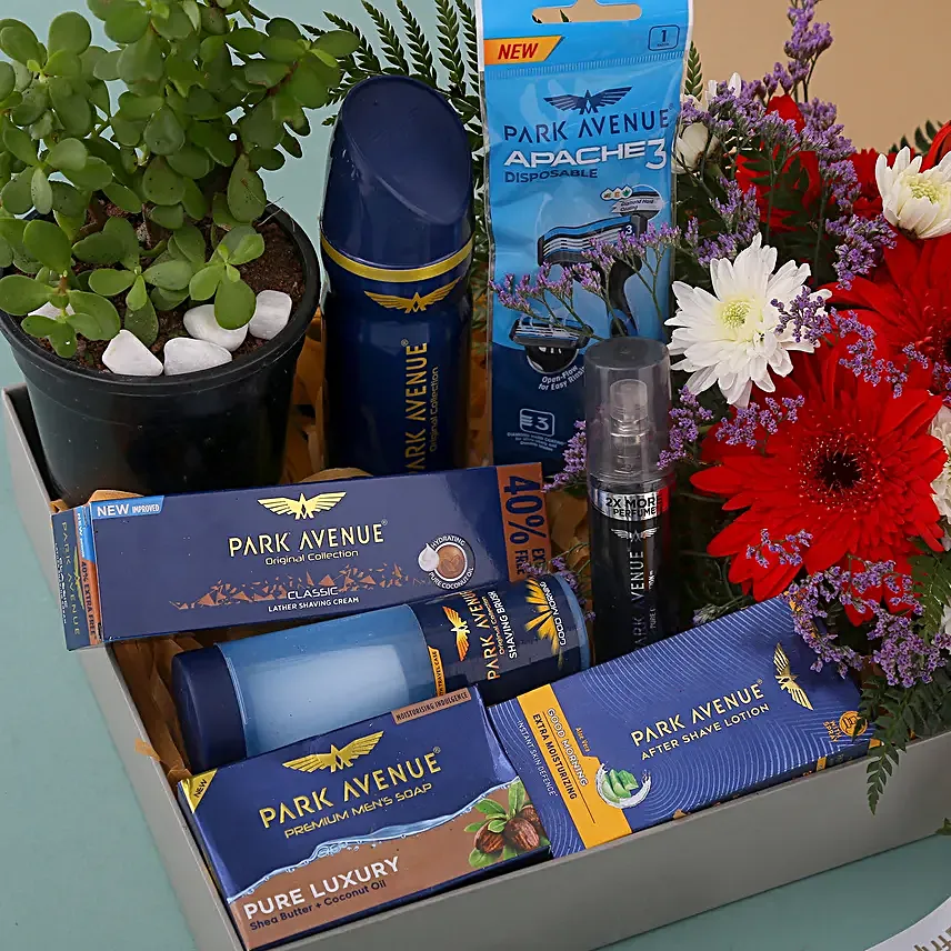 Park Avenue Grooming Kit N Jade Plant Hamper