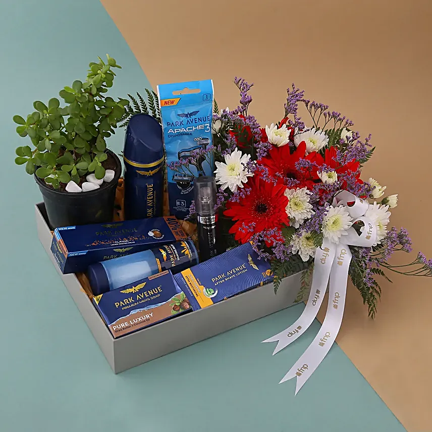 Park Avenue Grooming Kit N Jade Plant Hamper