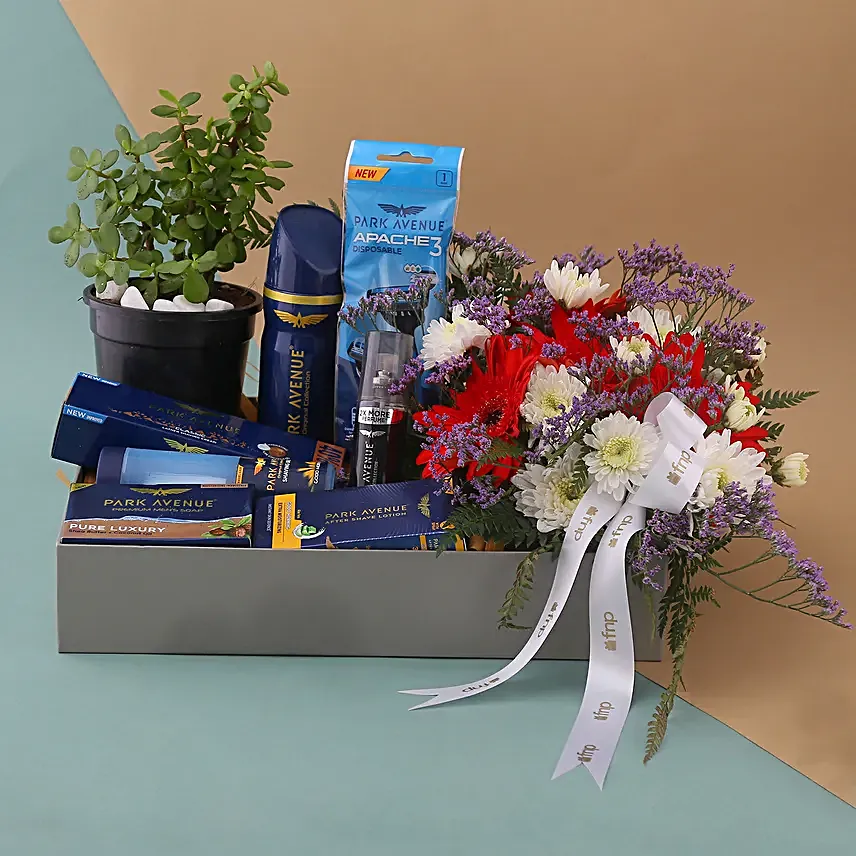 Park Avenue Grooming Kit N Jade Plant Hamper