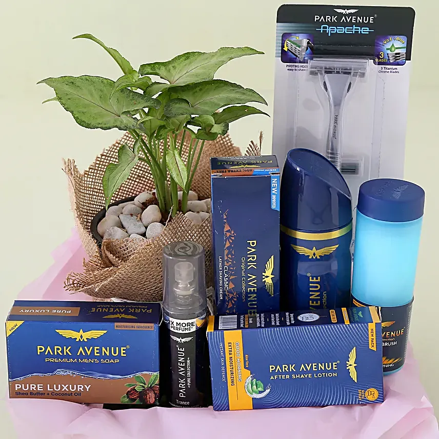 Park Avenue Grooming Kit N Syngonium Plant Combo