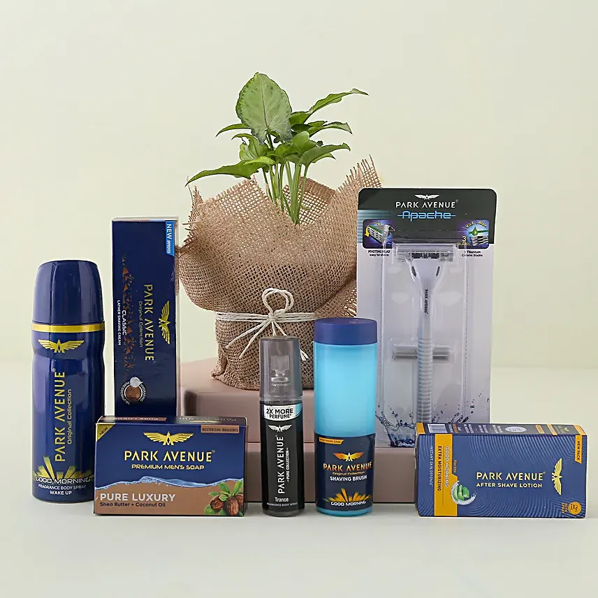 Park Avenue Grooming Kit N Syngonium Plant Combo