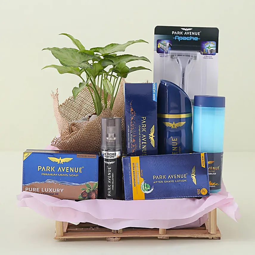 Park Avenue Grooming Kit N Syngonium Plant Combo