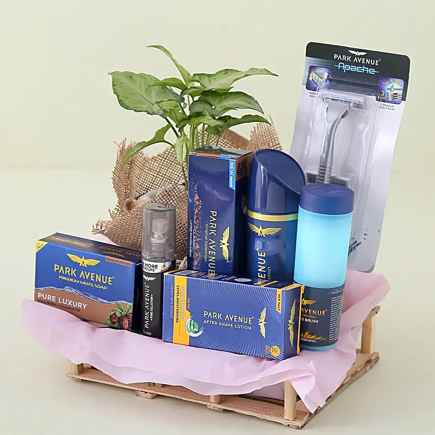 Park Avenue Grooming Kit N Syngonium Plant Combo