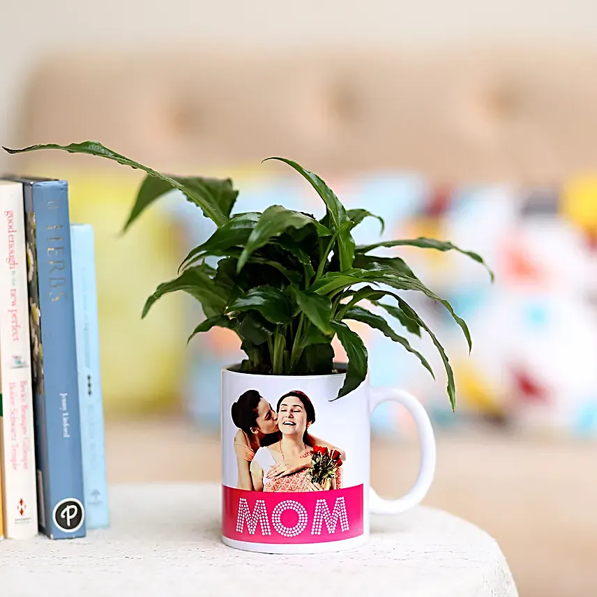 green plant in printed mug for mom
