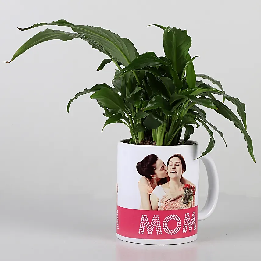 green plant in printed mug for mom