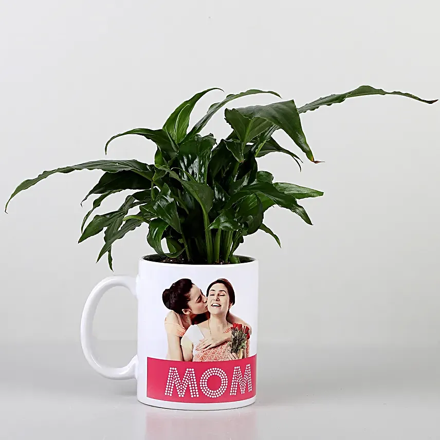 green plant in printed mug for mom