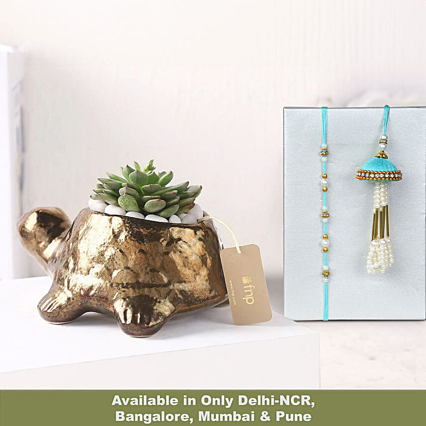 Pearl Rakhi N Succulent Delight Combo