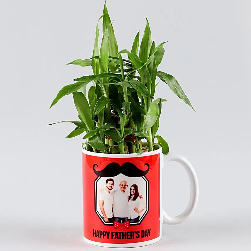 lucky plants for fathers day online