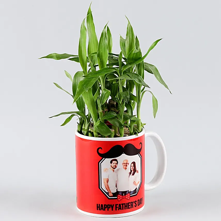 lucky plants for fathers day online