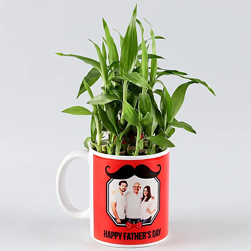 lucky plants for fathers day online