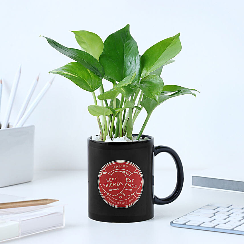 Personalised Best Friend Mug N Money Plant Combo