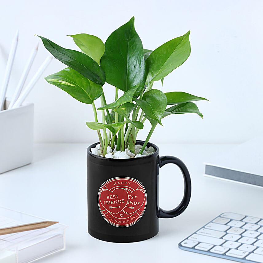 Personalised Best Friend Mug N Money Plant Combo