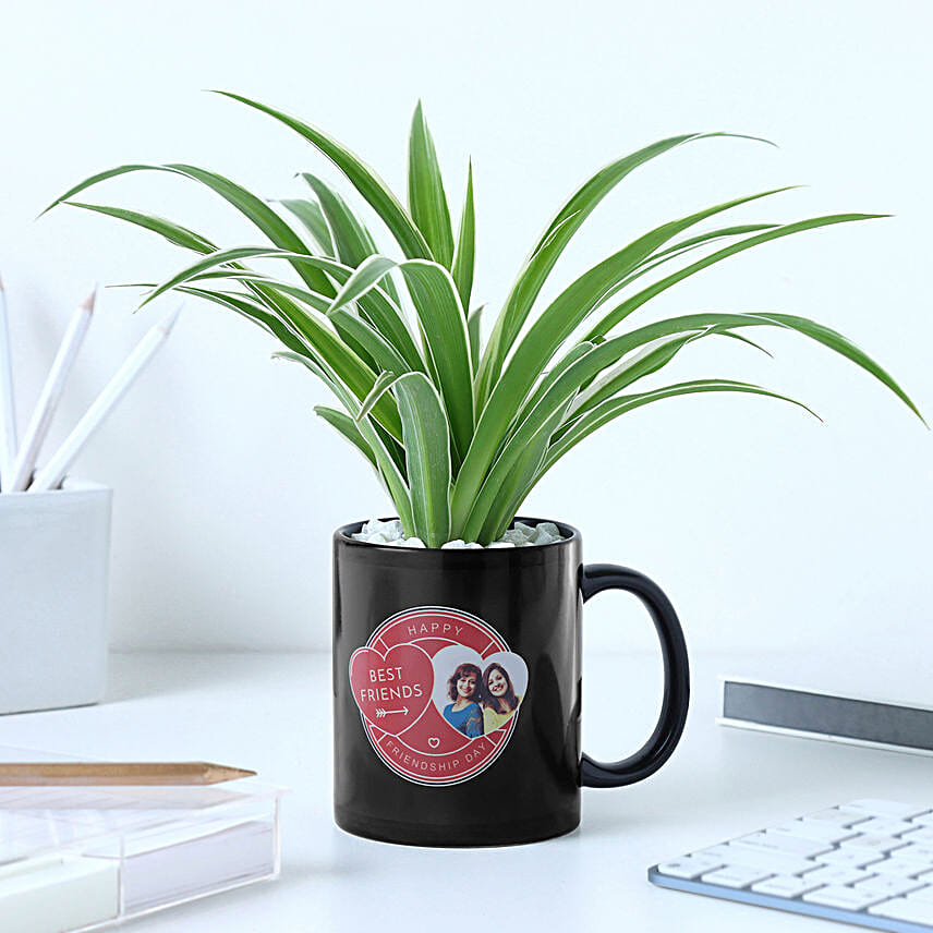 Personalised Best Friend Mug N Spider Plant Combo