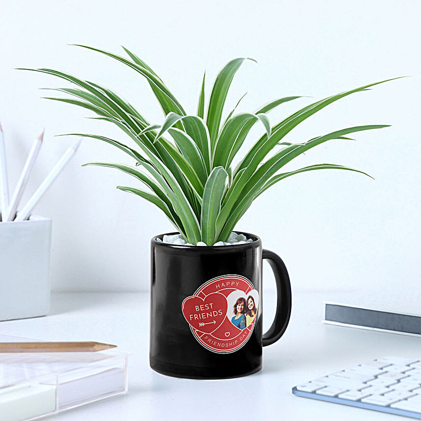 Personalised Best Friend Mug N Spider Plant Combo