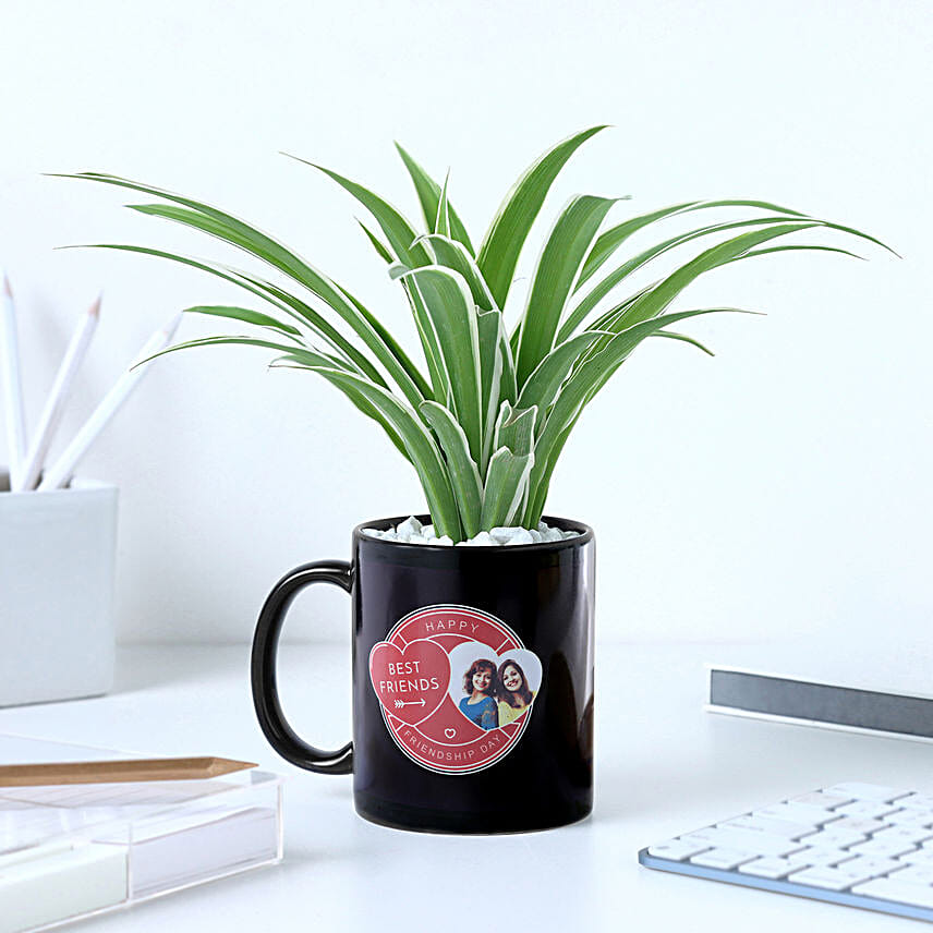 Personalised Best Friend Mug N Spider Plant Combo
