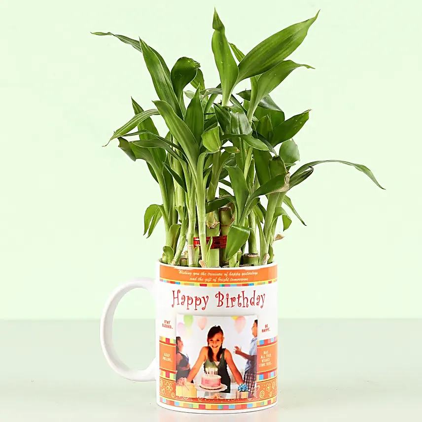 printed mug with bamboo plant for him online