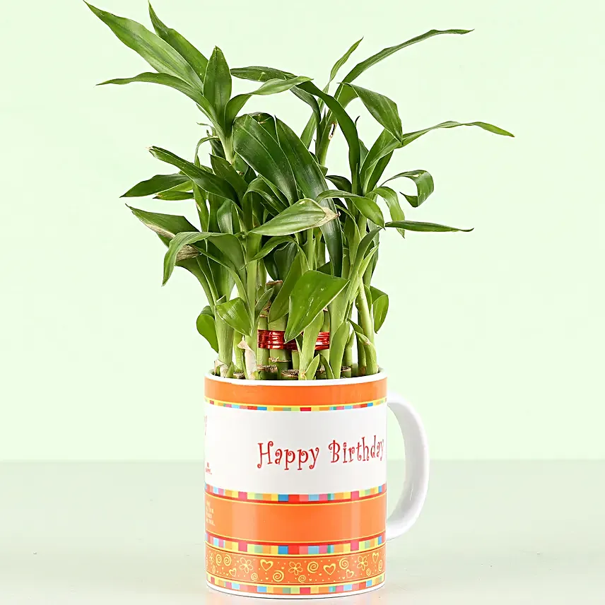 printed mug with bamboo plant for him online
