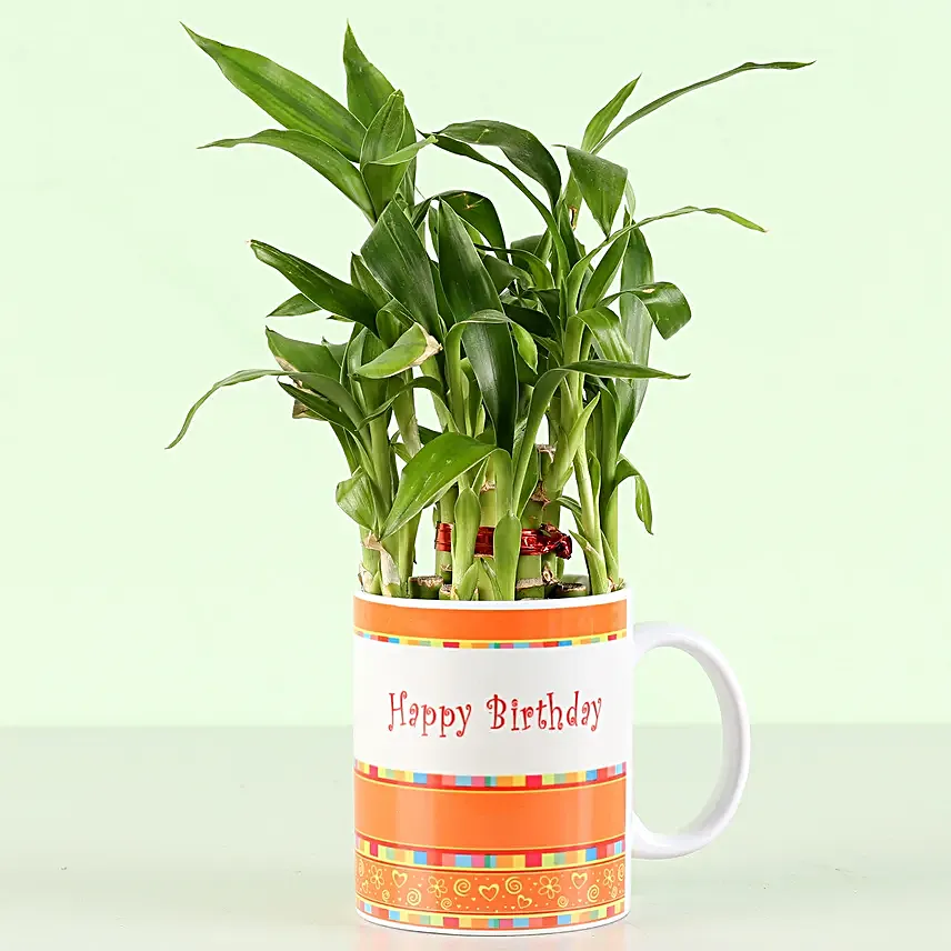 printed mug with bamboo plant for him online