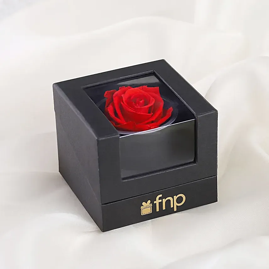 Personalised Forever Passion Love Combo