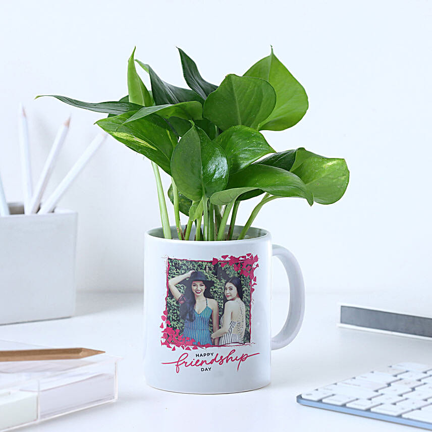 Personalised Friendship Day Mug N Money Plant Combo