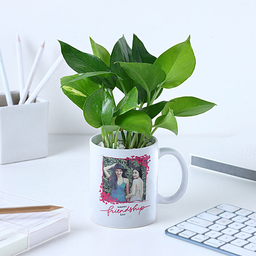 Personalised Friendship Day Mug N Money Plant Combo