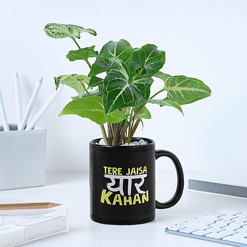 Personalised Friendship Day Mug N Syngonium Plant Combo