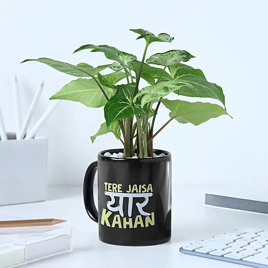 Personalised Friendship Day Mug N Syngonium Plant Combo