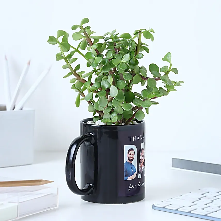 Personalised Jade Plant Black Mug