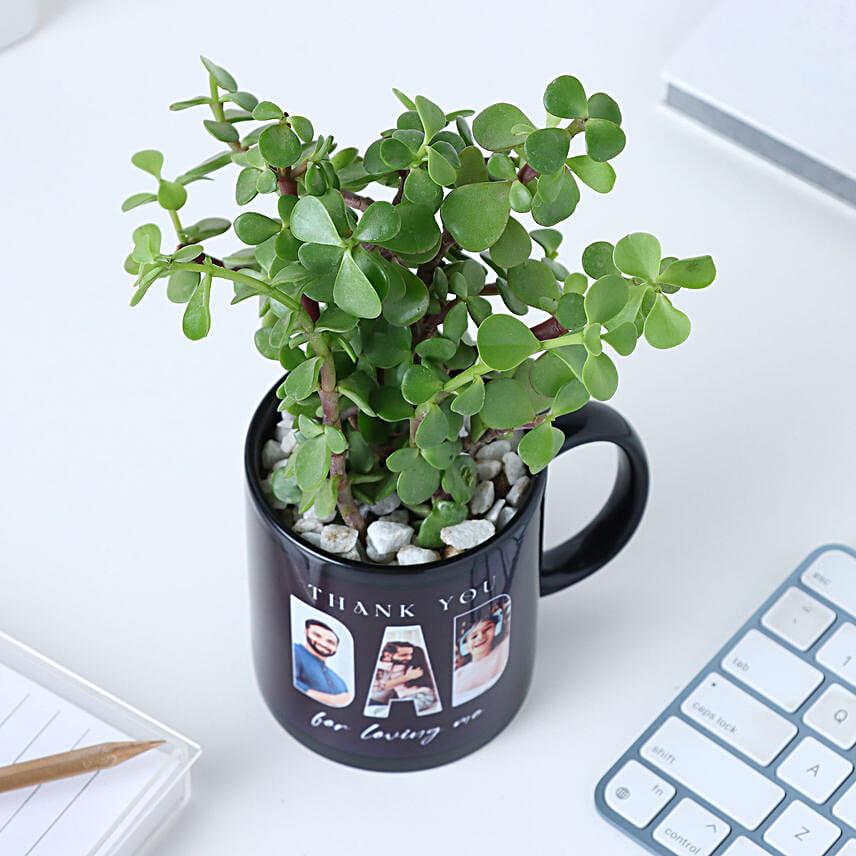 Personalised Jade Plant Black Mug