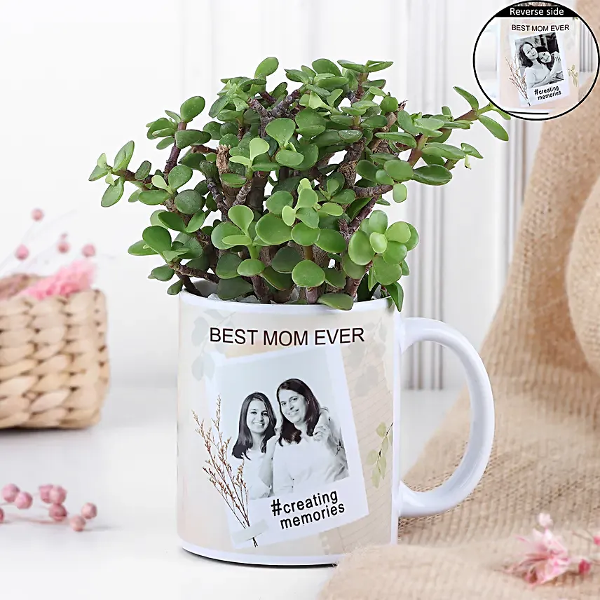 Personalised Jade Plant For Mom