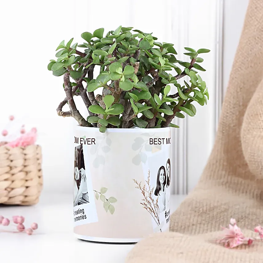 Personalised Jade Plant For Mom