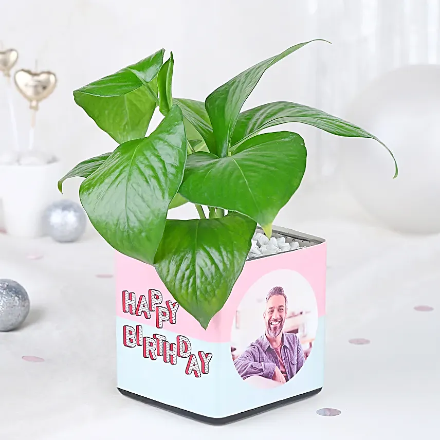 Personalised Money Plant Celebration
