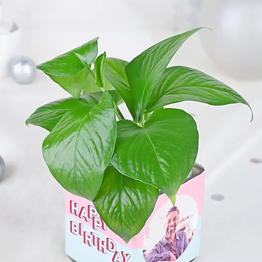 Personalised Money Plant Celebration