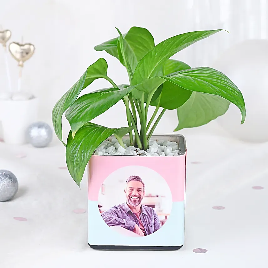 Personalised Money Plant Celebration