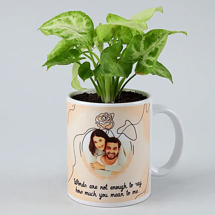 Karwa Chauth Coffee Mug & Plant