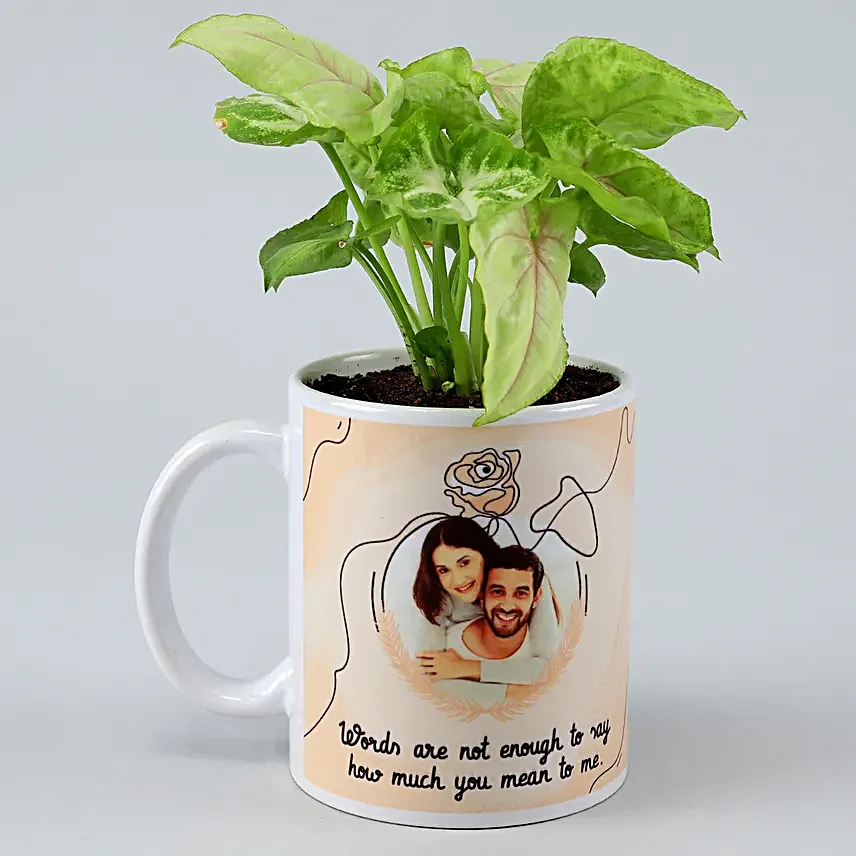 Karwa Chauth Coffee Mug & Plant