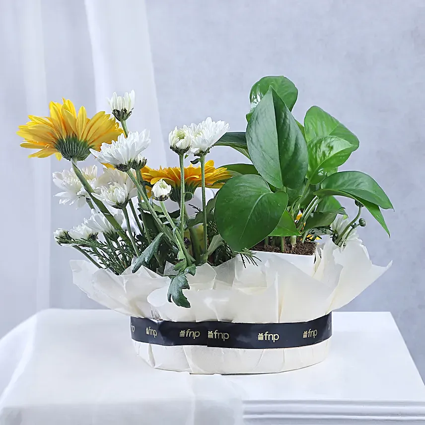 Personalised Mug with Money Plant
