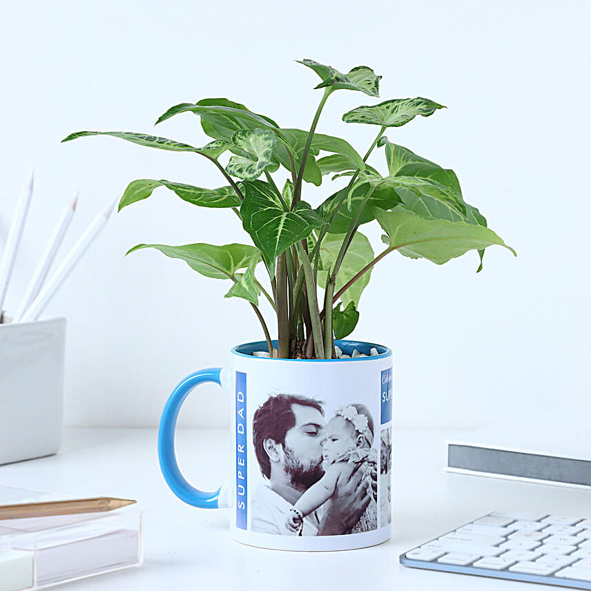 Personalised Syngonium Gift for Super Dads