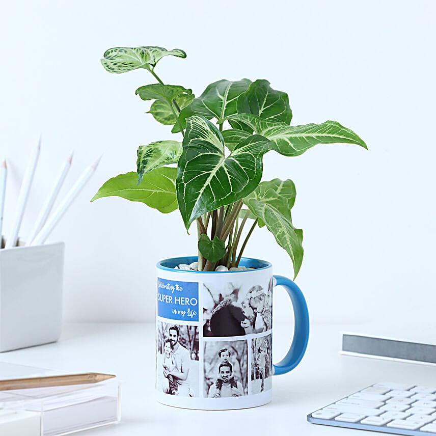 Personalised Syngonium Gift for Super Dads