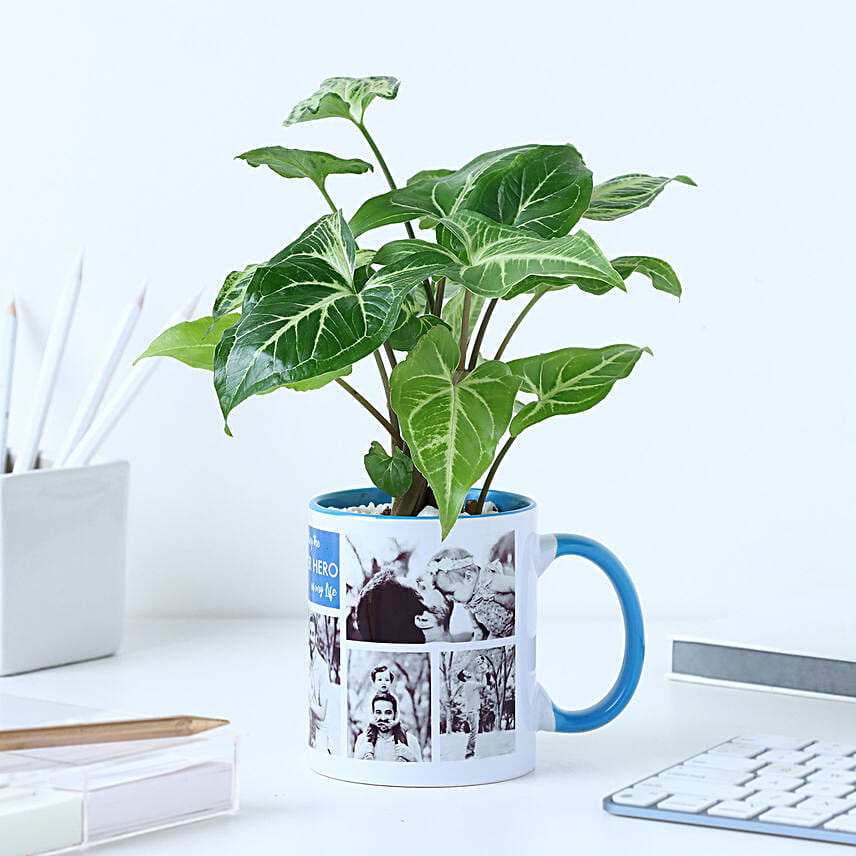Personalised Syngonium Gift for Super Dads