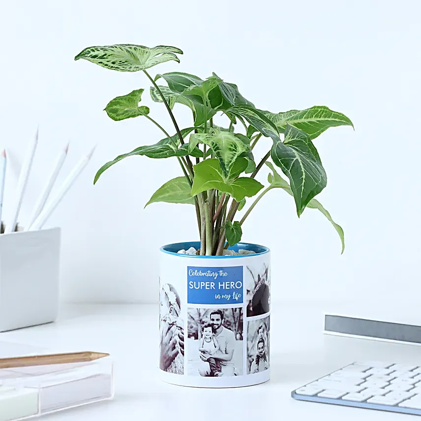 Personalised Syngonium Gift for Super Dads