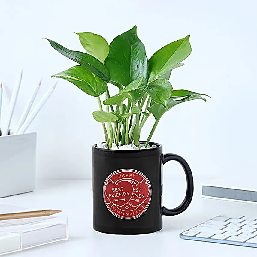 Personalized Best Friend Mug N Money Plant Combo