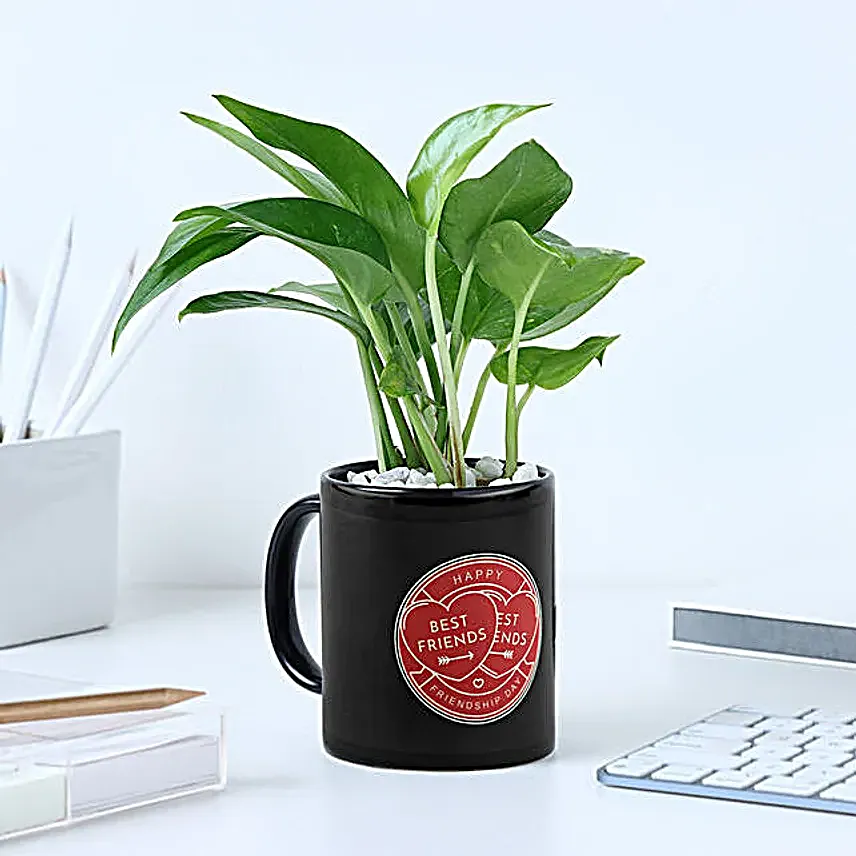 Personalized Best Friend Mug N Money Plant Combo