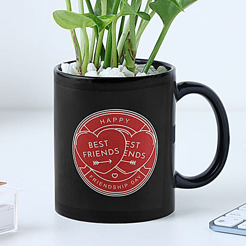 Personalized Best Friend Mug N Money Plant Combo