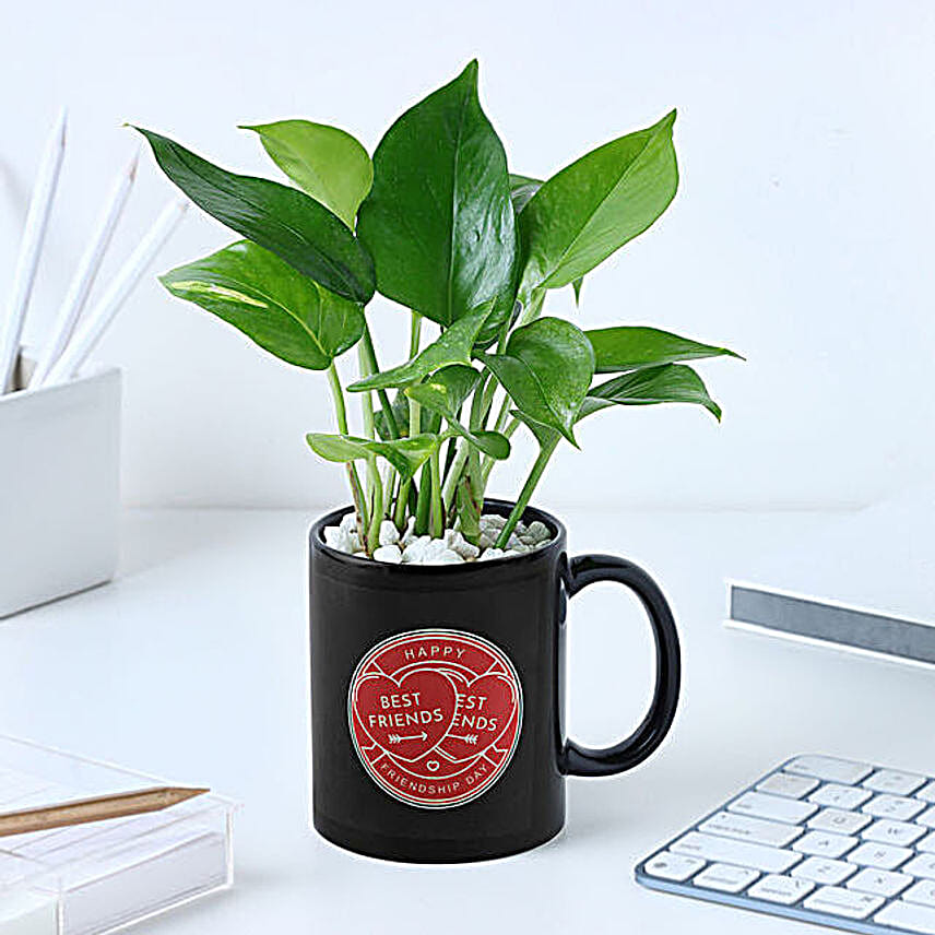 Personalized Best Friend Mug N Money Plant Combo