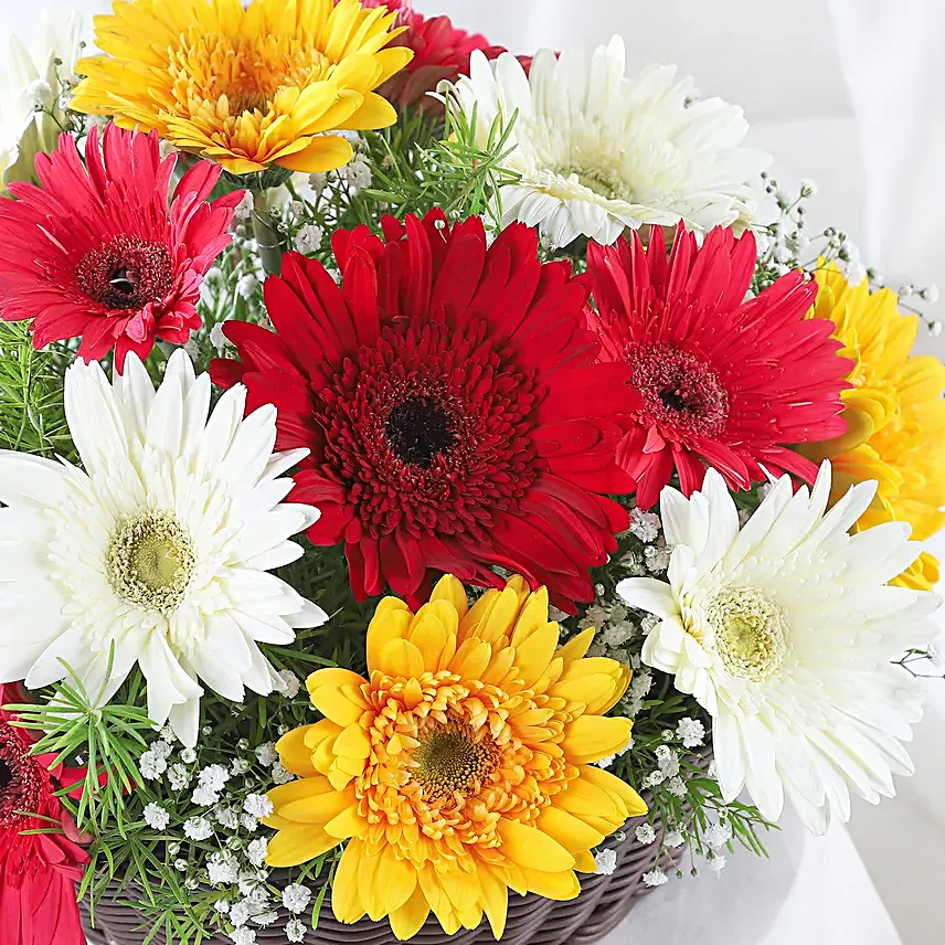 Petite Floral Brilliance