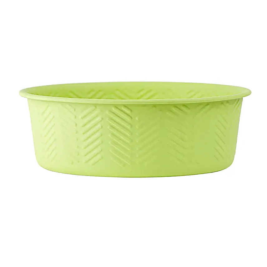 Pets Treat Jar N Bowl Set Green