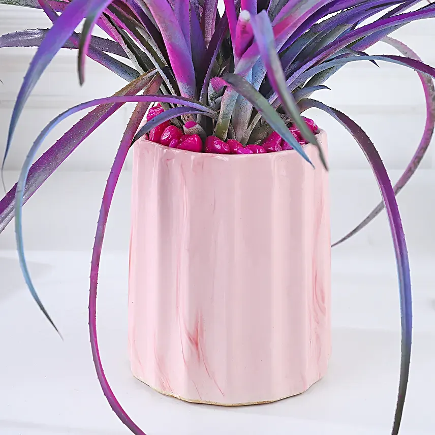 Pineapple Pink Pot Harmony