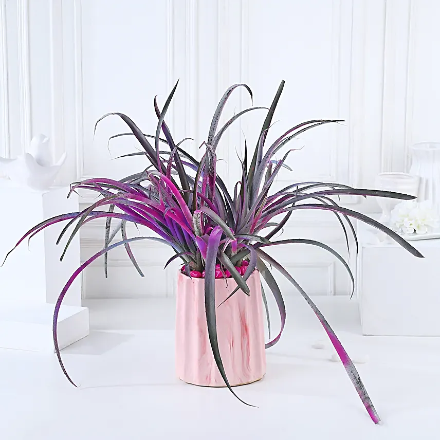 Pineapple Pink Pot Harmony